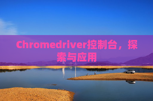 Chromedriver控制台,探索与应用 Chromedriver控制台,探索与应用